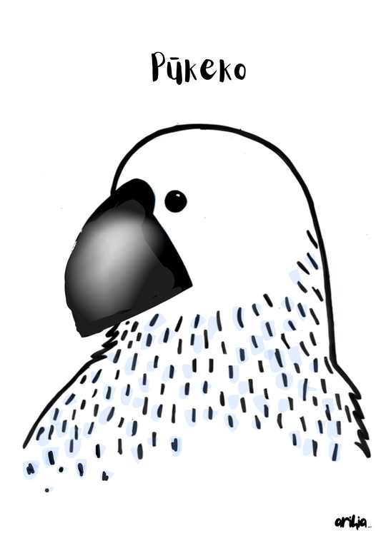 Pūkeko